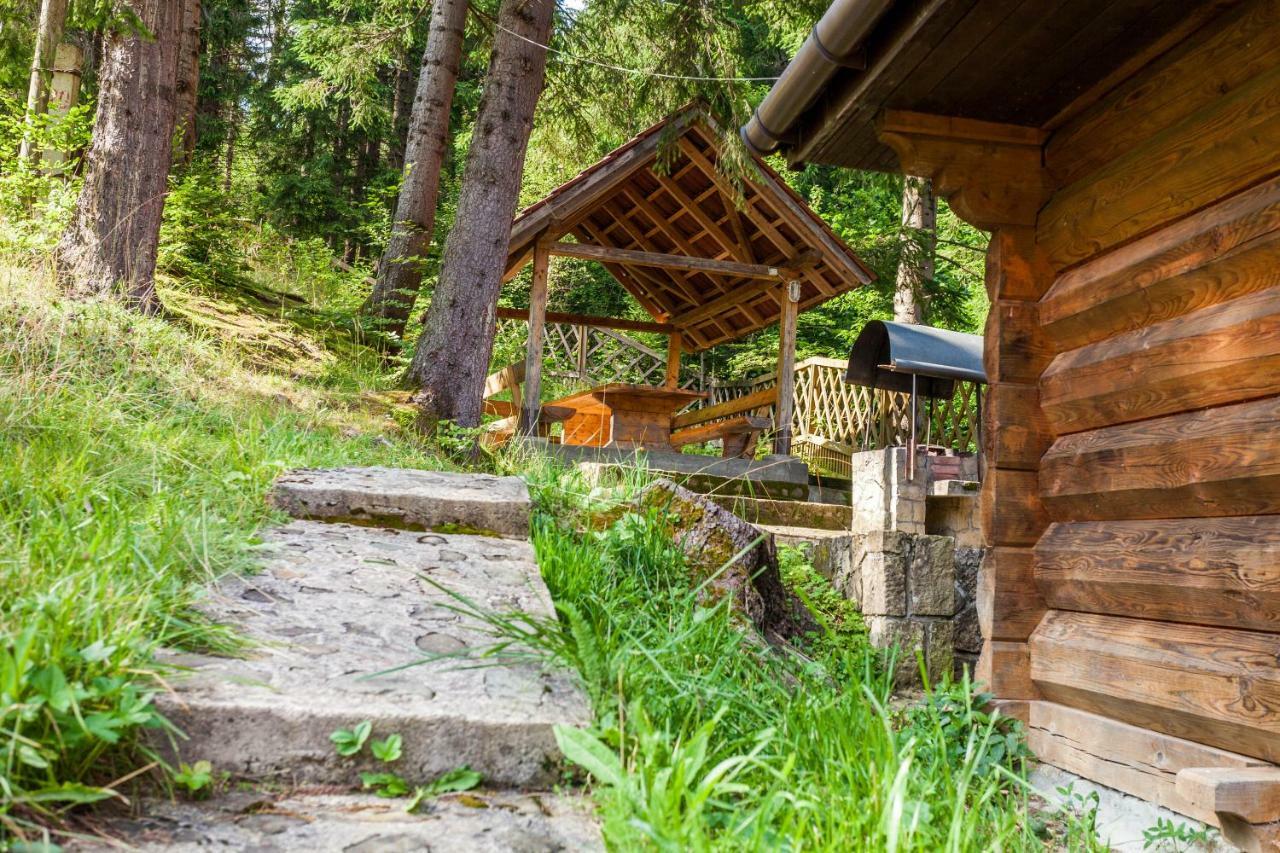 Альпина Otel Yaremche Dış mekan fotoğraf