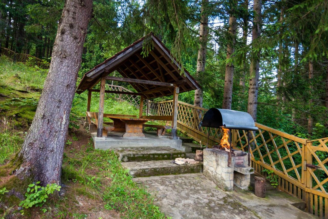 Альпина Otel Yaremche Dış mekan fotoğraf