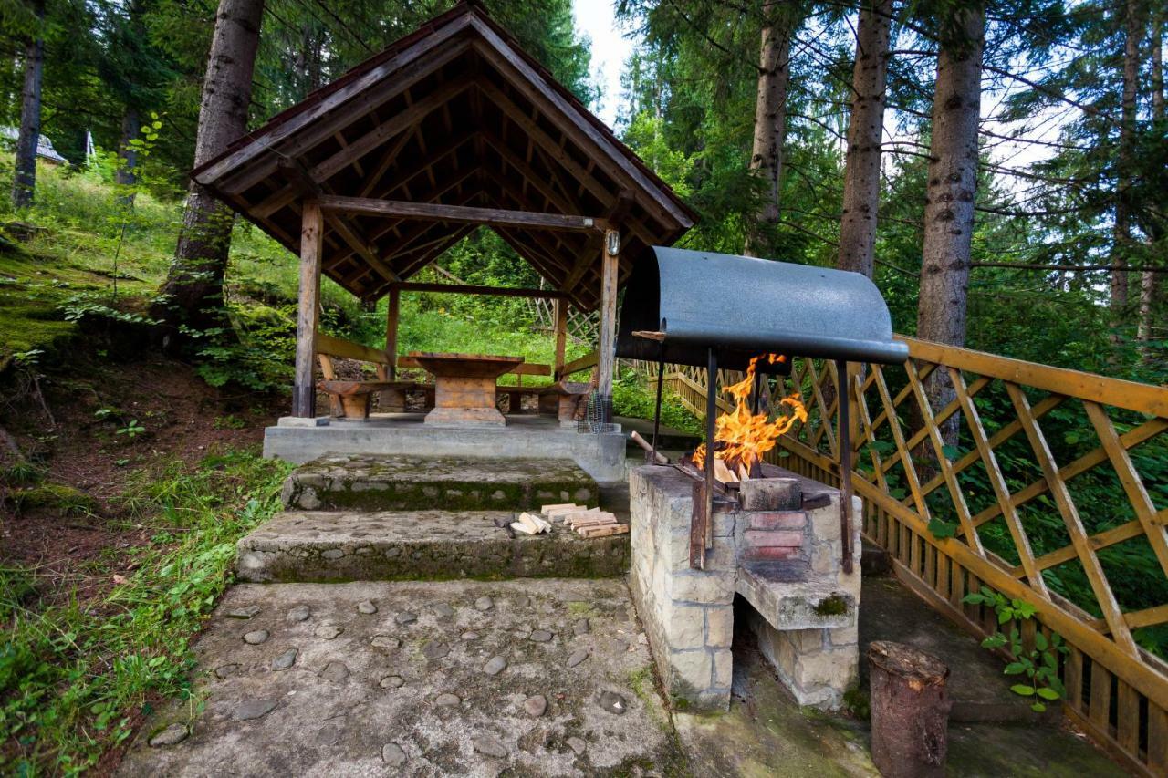 Альпина Otel Yaremche Dış mekan fotoğraf