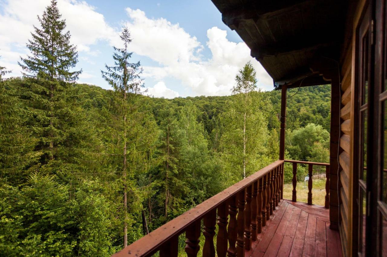 Альпина Otel Yaremche Dış mekan fotoğraf