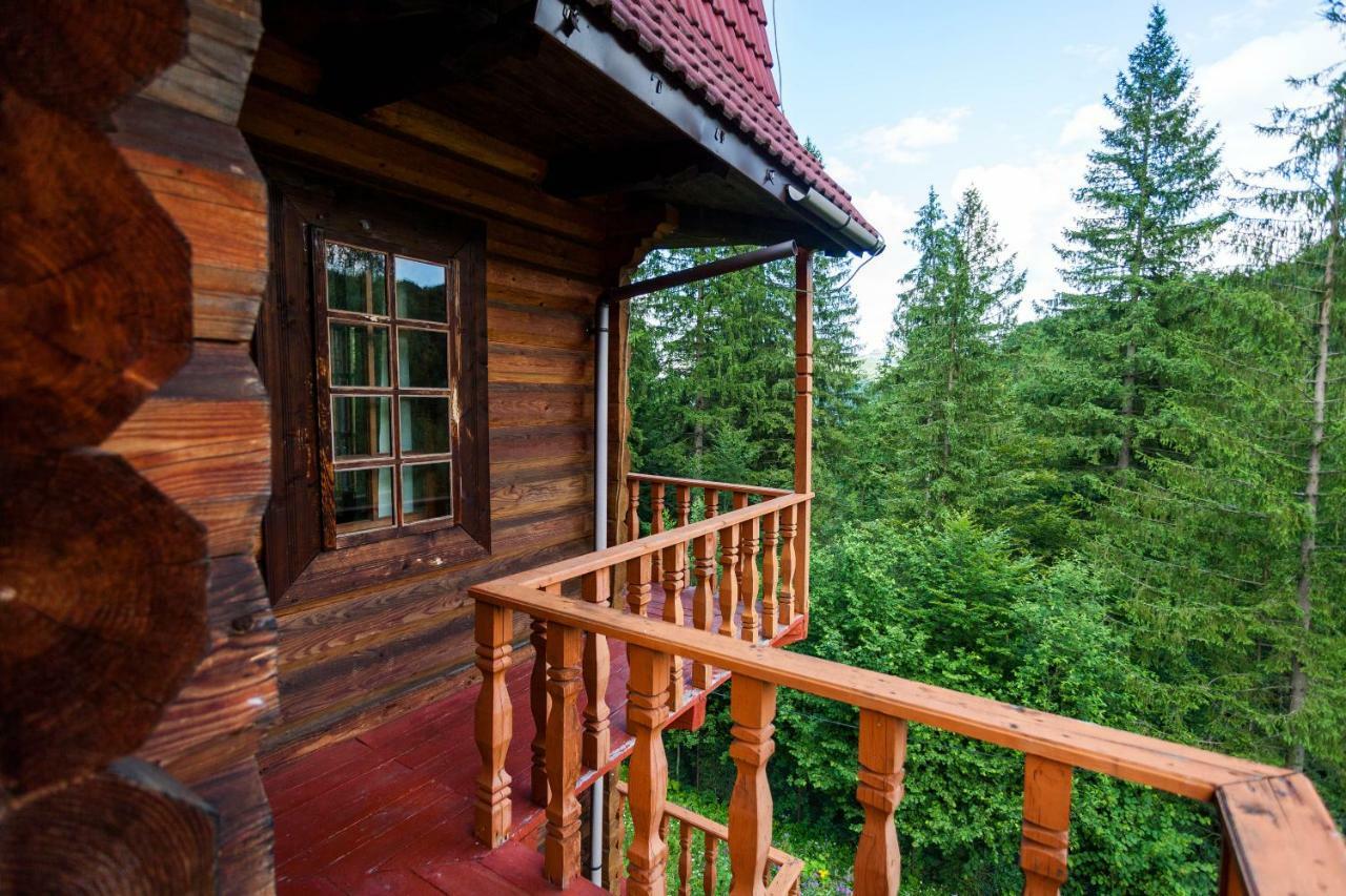 Альпина Otel Yaremche Dış mekan fotoğraf
