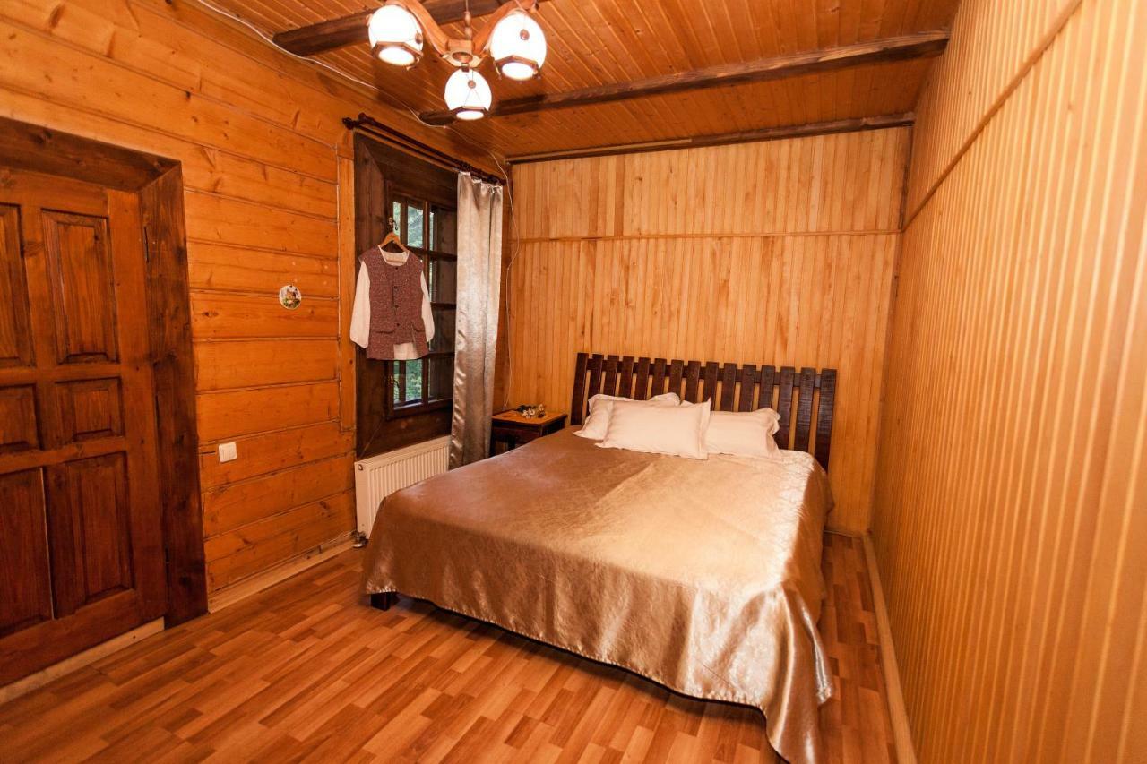 Альпина Otel Yaremche Dış mekan fotoğraf
