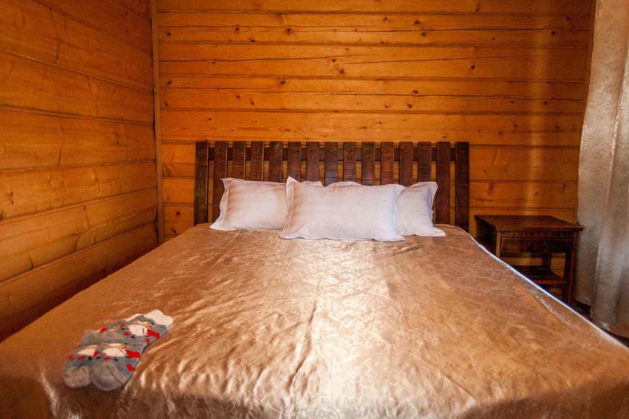 Альпина Otel Yaremche Dış mekan fotoğraf