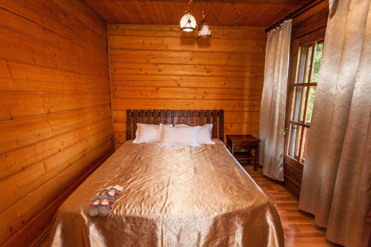 Альпина Otel Yaremche Dış mekan fotoğraf